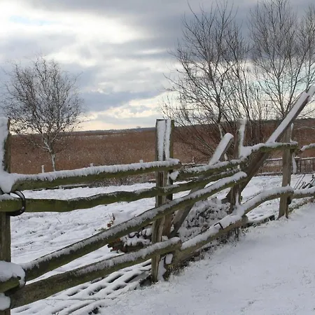 Christl Wustrow (Fischland)